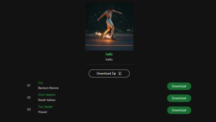 spotidown Spotify zu MP3 Konverter