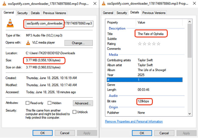 Details zum sssSpotify MP3-Download im Test